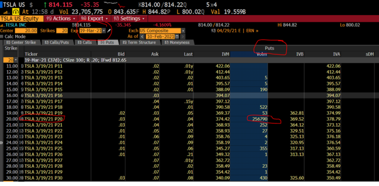 1M in Puts at 20.00 for TSLA???? Which one of you did this